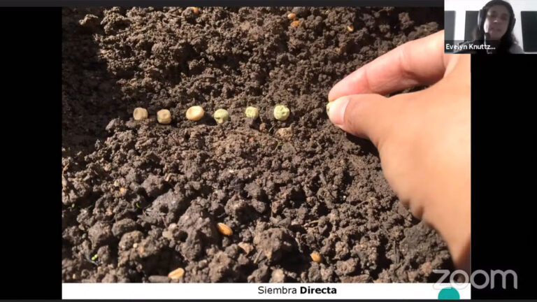 Lee más sobre el artículo ExpoRural 2020:“La huerta debe pensarse en la diversidad”