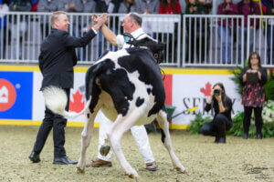 Lee más sobre el artículo Antes de jurar “la Madison”, Jamie Black estará en la pista de Rafaela