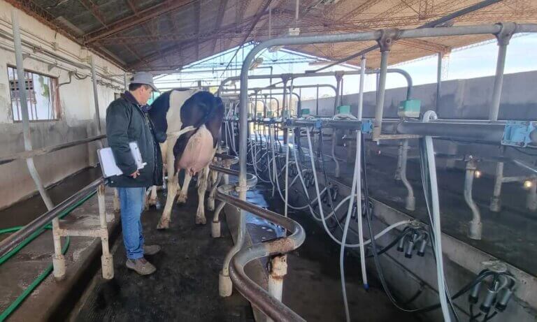 Lee más sobre el artículo Comenzó el recorrido de tambos en el 8° Concurso de Vacas a Campo