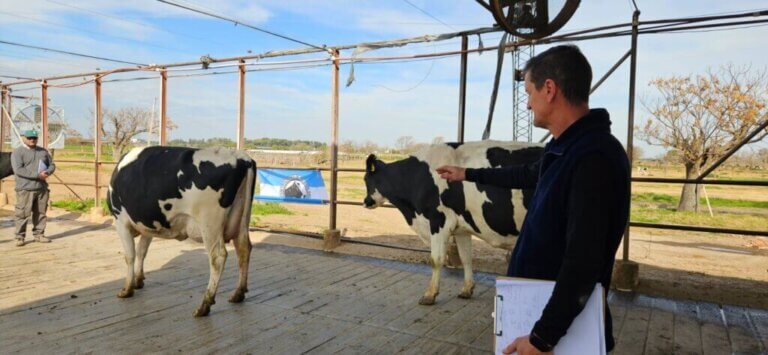 Lee más sobre el artículo Con la 9° Competencia de Vacas a Campo comenzó la agenda de la 119° ExpoRural