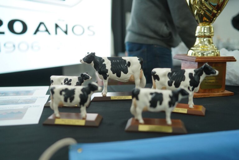 Lee más sobre el artículo LHUAB se quedó por cuarta vez con la Gran Campeón del Concurso de Vacas a Campo
