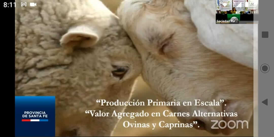 En este momento estás viendo Expo 2020:El negocio de ovinos y caprinos plantea sus posibilidades