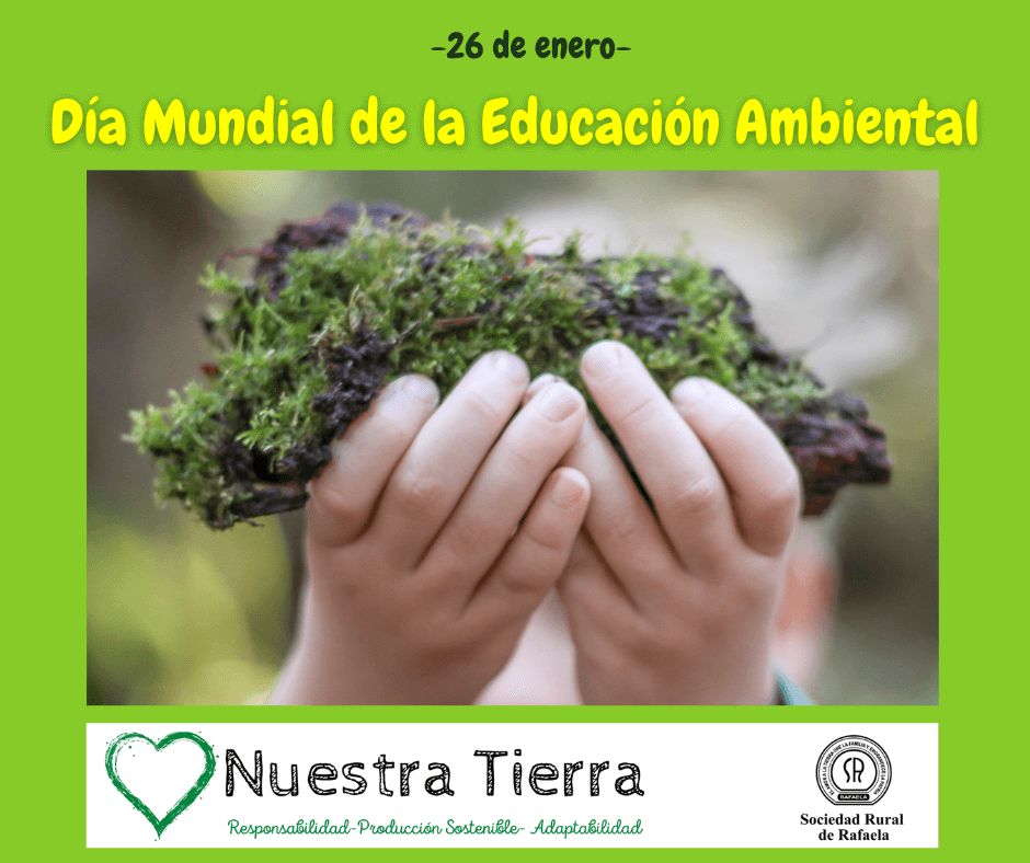 En este momento estás viendo Día Mundial de la Educación Ambiental