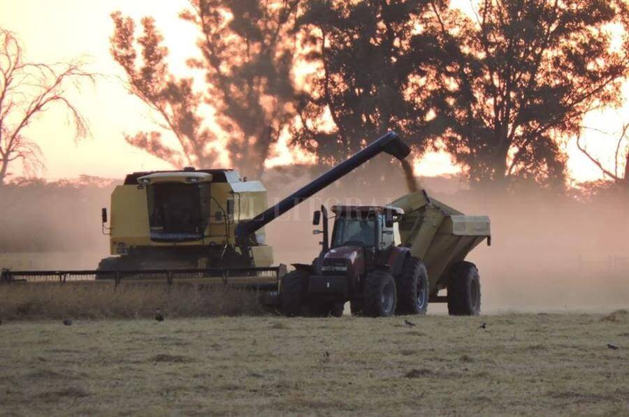 En este momento estás viendo «El campo no puede parar»- COMUNICADO-