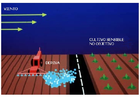 En este momento estás viendo Consensos en aplicaciones
