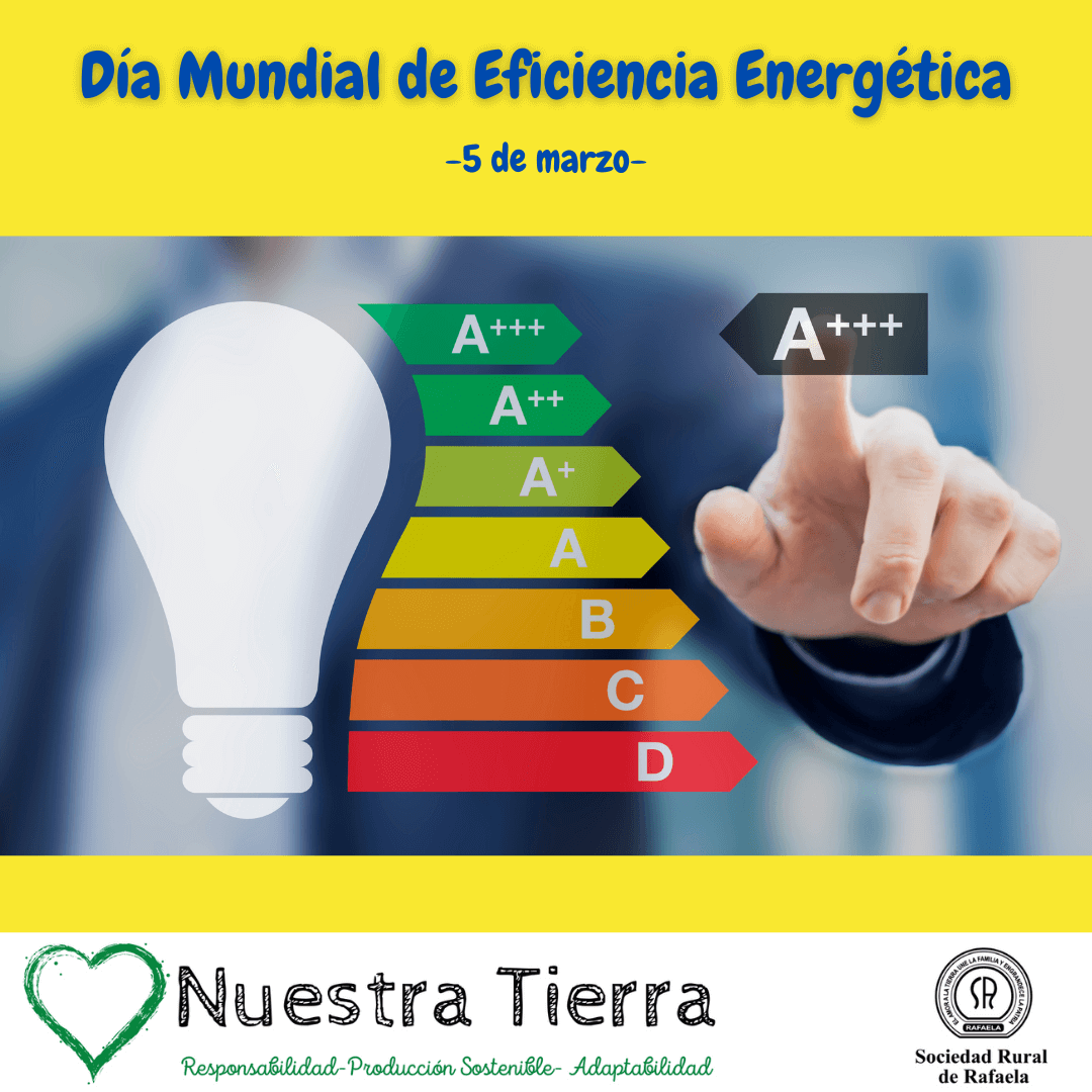 En este momento estás viendo 5 de marzo: Día Mundial de la Eficiencia Energética