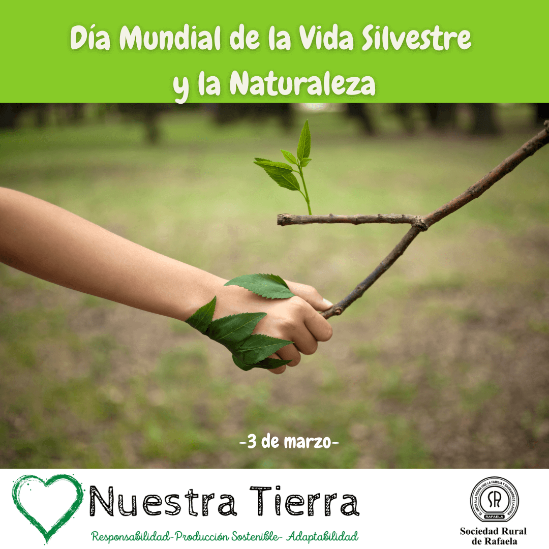 En este momento estás viendo 3 de Marzo- Día Mundial de la Vida Silvestre