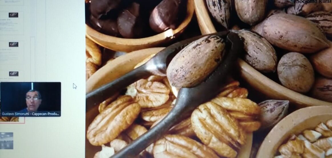 En este momento estás viendo Muestra 2021-Día 2:Nuez pecán, una alternativa diferente