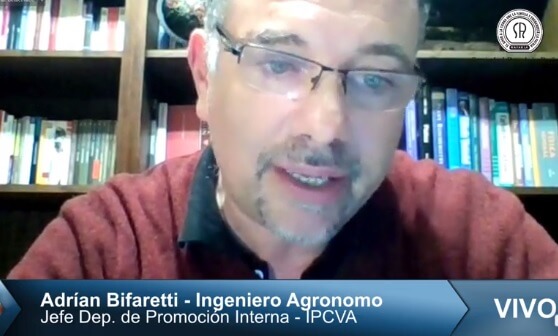En este momento estás viendo Muestra 2021-Día 3-«El impacto de vegetarianos y veganos en el consumo de carne»