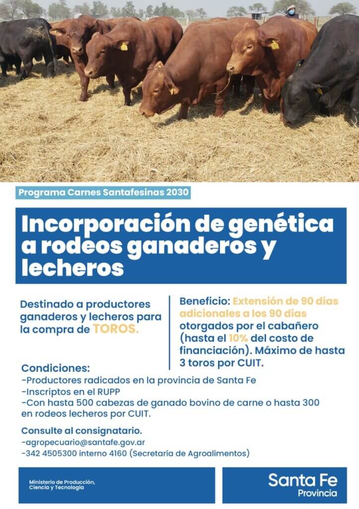 La imagen tiene un atributo ALT vacío; su nombre de archivo es Financiamiento-Remate-723x1024.jpg