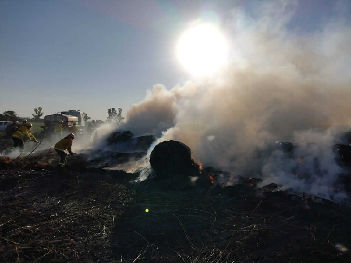 En este momento estás viendo De todos depende la prevención de incendios