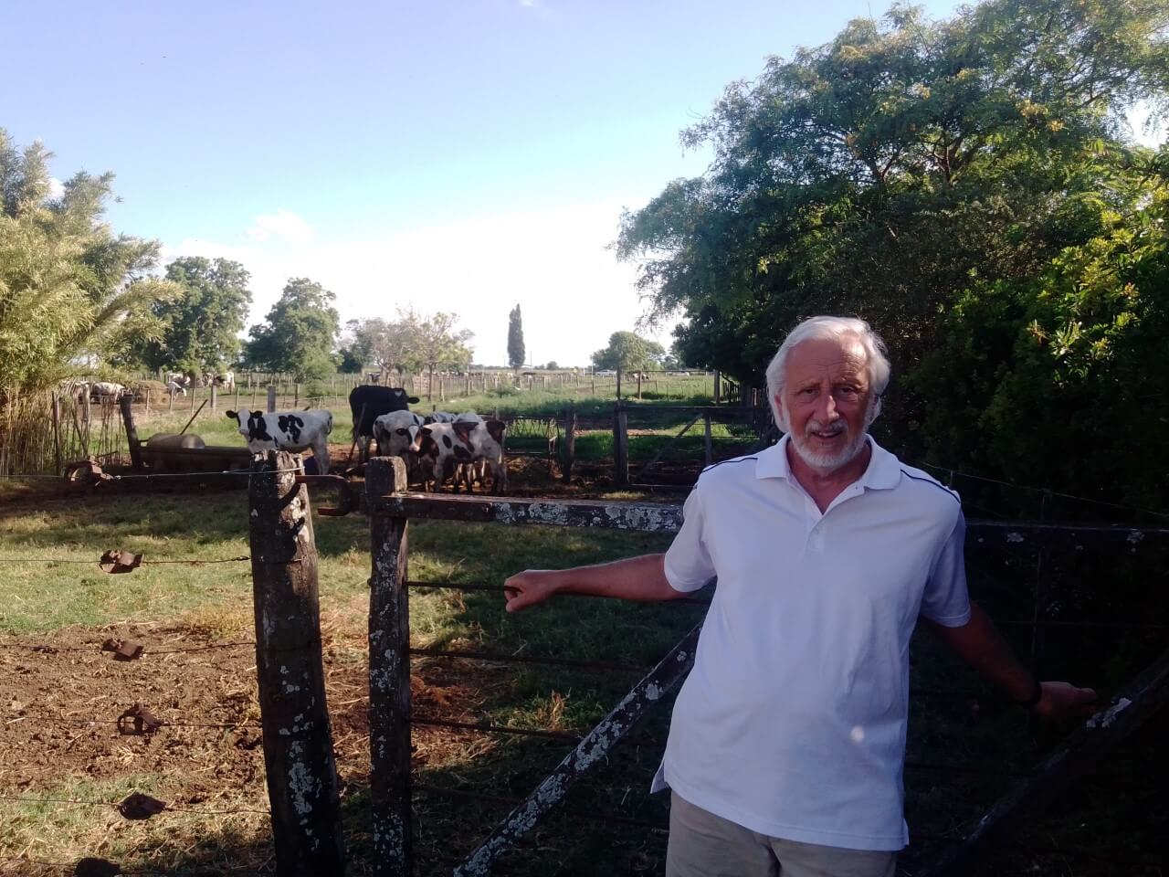 En este momento estás viendo Tres vacas con cuatro premios para estar entre los mejores Holando de Sudamérica
