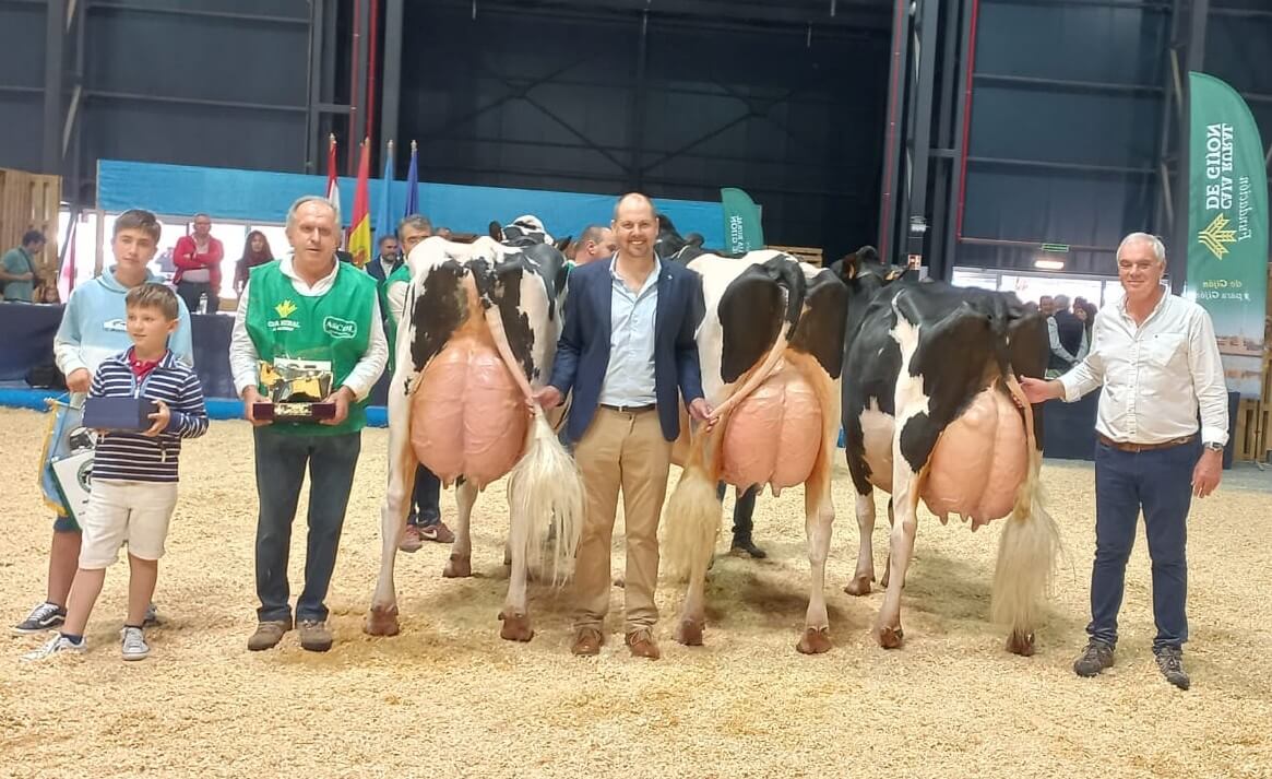 En este momento estás viendo “Una experiencia inolvidable” en Gijón