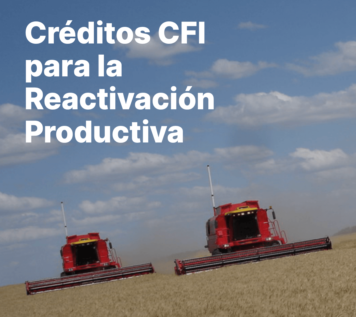 Créditos CFI para la reactivación productiva