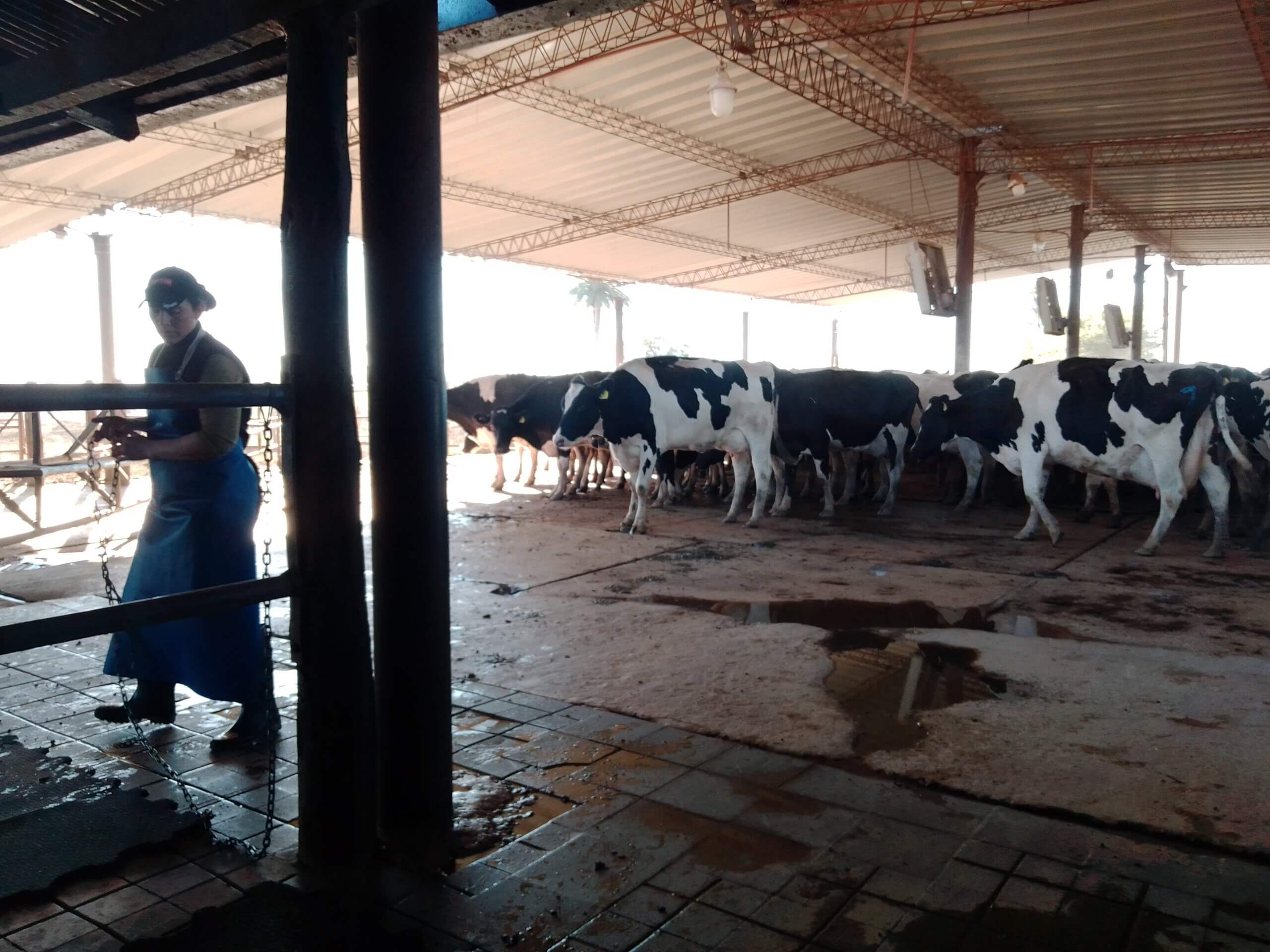 En este momento estás viendo Las mujeres del campo volverán a encontrarse en la 117° ExpoRural