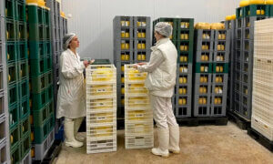 Lee más sobre el artículo Se formalizó la baja de retenciones a los lácteos y las proteínas animales