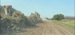 Lee más sobre el artículo Pedimos terminar con la destrucción del patrimonio natural