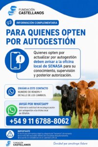 Lee más sobre el artículo Hasta el 24 de mayo hay tiempo para recategorizar terneros y terneras
