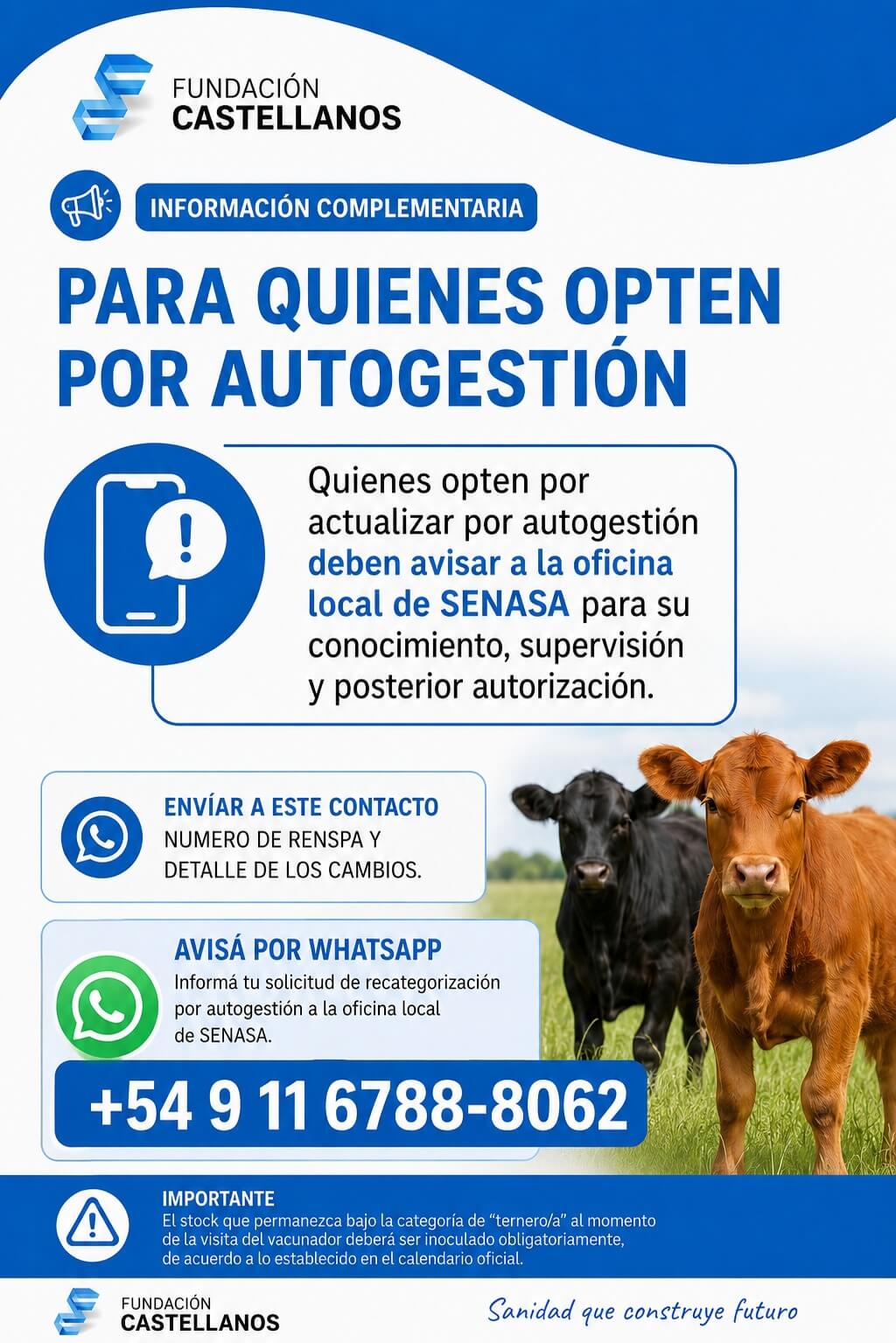 En este momento estás viendo Hasta el 24 de mayo hay tiempo para recategorizar terneros y terneras
