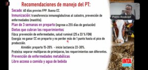 Lee más sobre el artículo El período de transición, núcleo de la eficiencia en el tambo