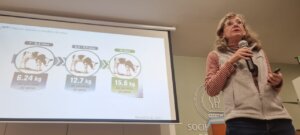 Lee más sobre el artículo Los controles a tiempo en la crianza de terneros evitan consecuencias profundas en el futuro del rodeo
