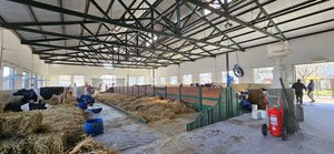 Lee más sobre el artículo Con la entrada de los primeros ejemplares lecheros la ExpoRural comienza a armarse para el jueves